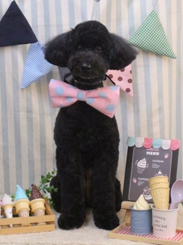 20250530アロちゃん